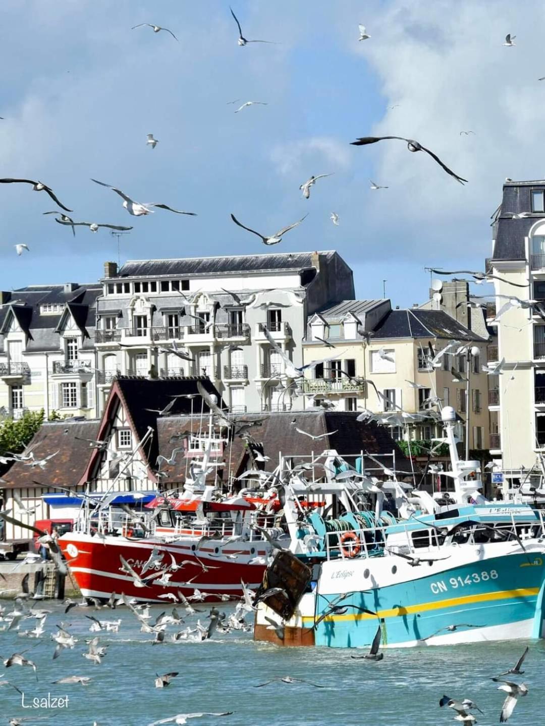 Studio De Charme A Trouville Sur Mer. Buitenkant foto